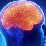 La psicología del dinero y su impacto en las decisiones financieras